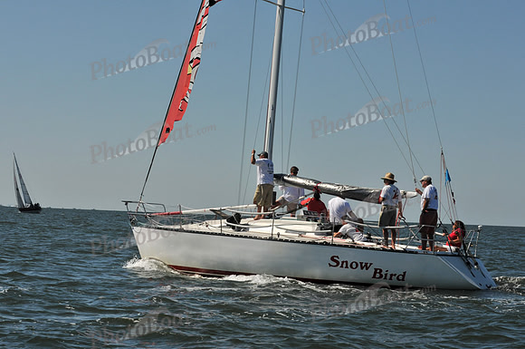 2010 Leukemia Cup 199