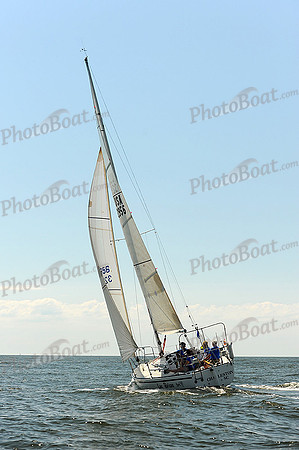 2014 Charleston Race Week A 505