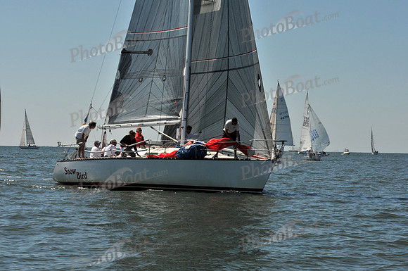 2010 Leukemia Cup 776