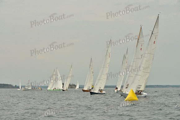 2016 Chester Race Week E_0124
