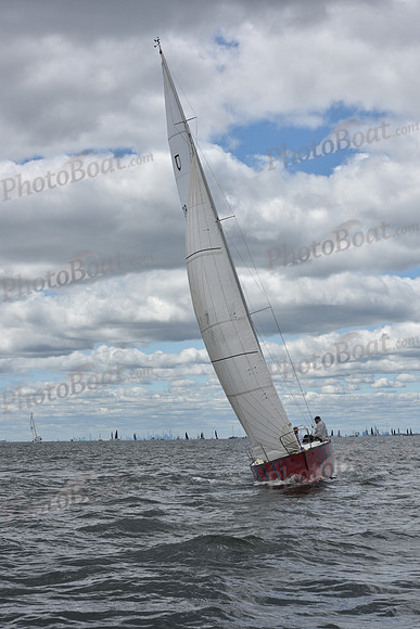 2021 Vineyard Race A 0323