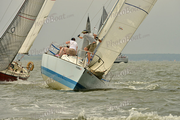 2016 Southern Bay Race Week A_0768
