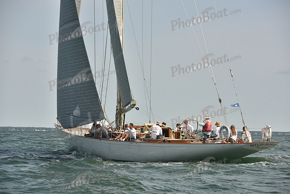 2018 Vineyard Cup A_0280