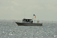 2015 J70 Winter Series C 589