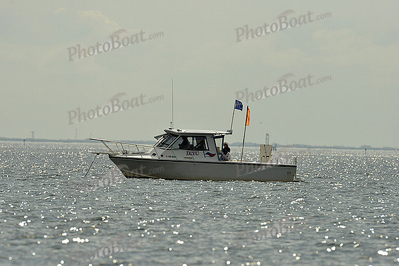 2015 J70 Winter Series C 589