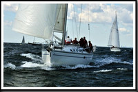 proof_2010_Vineyard_Race_0066