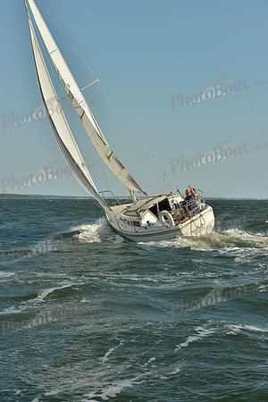 2016 NYYC Race Week A 1834