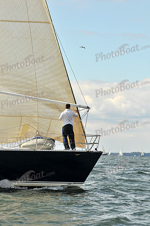 2010 IRC LIS 366
