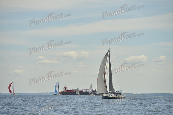 2016 Vineyard Race A_0916