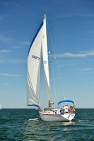 2015 Cape Charles Cup A 1475