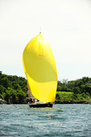 2014 NYYC Race Week C 555