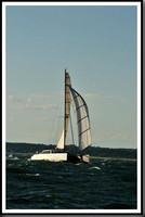 proof_2010_Vineyard_Race_1782
