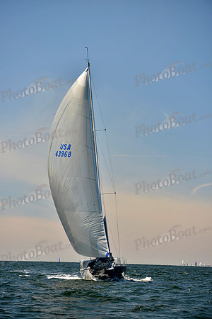 2017 Vineyard Race A_0865