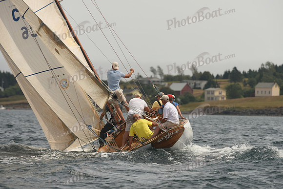 2016 Chester Race Week C_0746