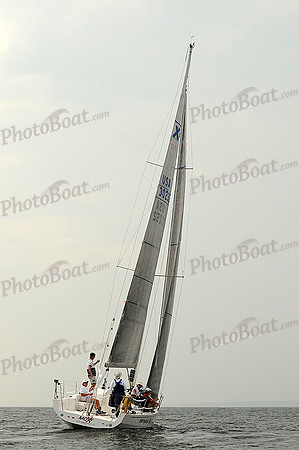 2013 Vineyard Race B 230