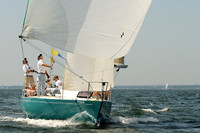2012 Vineyard Race A 665