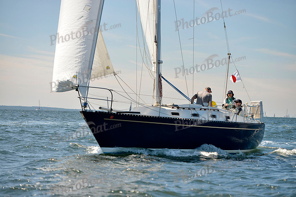 2017 Vineyard Race A_0380