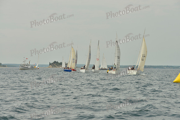 2016 Chester Race Week E_0098