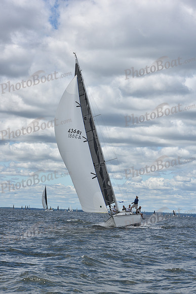 2021 Vineyard Race A 0488