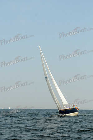 2011 Vineyard Race B 866