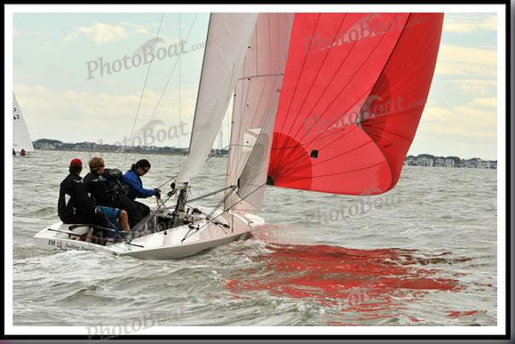 proof_2010_EScows_A 207