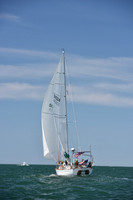 2019 Figawi_0517