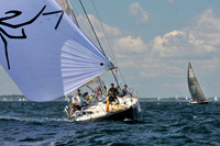 2012 Newport Bermuda 596