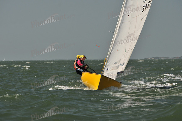2012 Thistle Midwinters B 645