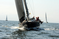2011 Vineyard Race A 1203