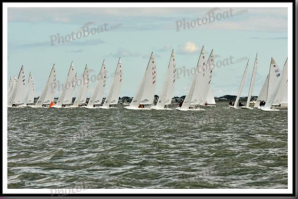 proof_2010_EScows_B 071