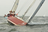 2015 Vineyard Race A 259