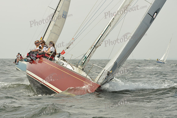 2015 Vineyard Race A 259