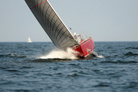 2011 Vineyard Race B 335