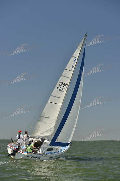 2017 Southern Bay Race Week B_1251