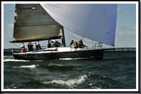 proof_2010_Vineyard_Race_0734