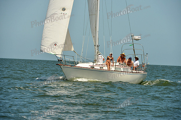 2015 Southern Bay Race Week C 1486
