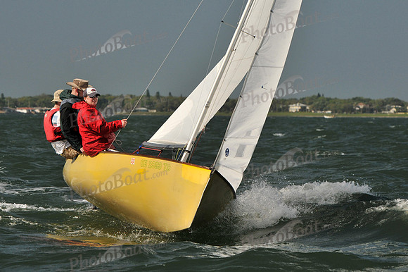 2012 Thistle Midwinters B 302