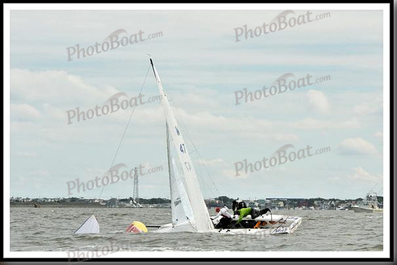 proof_2010_EScows_A 1564