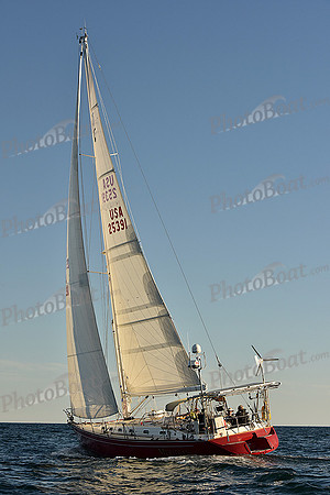 2016 Newport Bermuda Race_2407