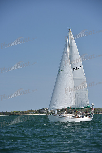 2019 Figawi_0484