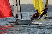 2011 HPDO A 290