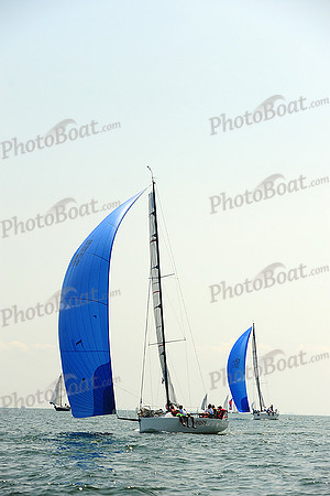 2014 Cape Charles Cup A 503