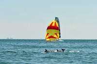 2015 Cape Charles Cup A 700