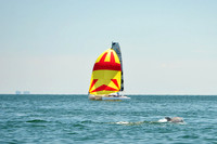 2015 Cape Charles Cup A 703