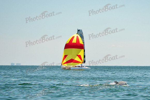 2015 Cape Charles Cup A 703