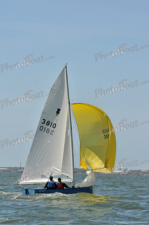 2012 Thistle Midwinters B 1327