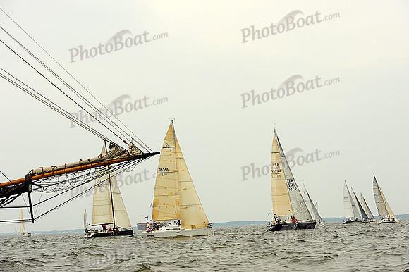 2014 Gov Cup A 1442