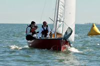 2012 Thistle Midwinters A 706