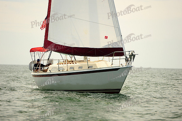 2014 Cape Charles Cup B 254