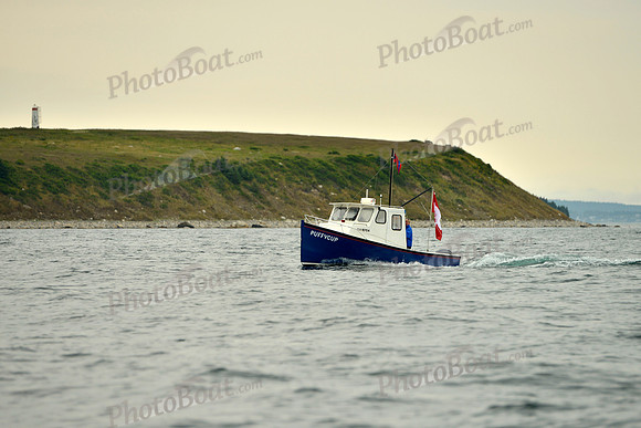 2016 Chester Race Week E_0207